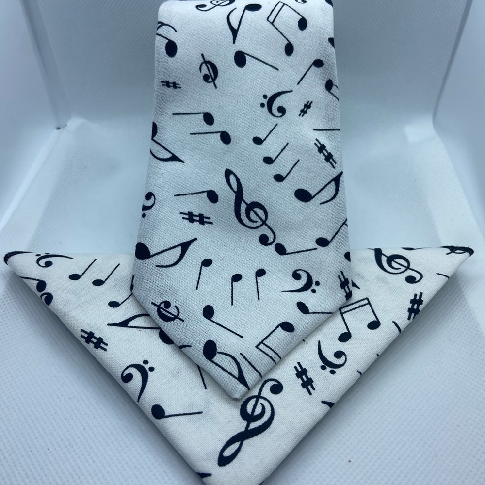 Men’s necktie & pocket square set